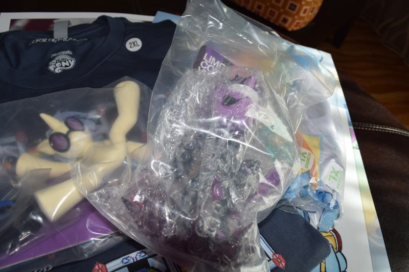 Illustration for article titled What I Bought At BronyCon